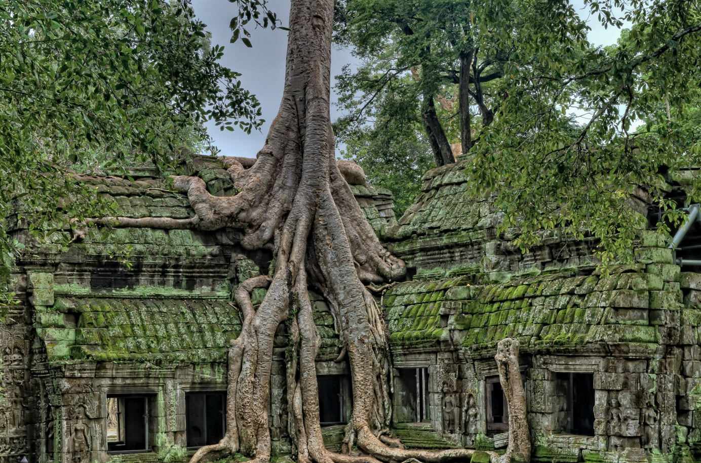캄보디아 유적지 사진