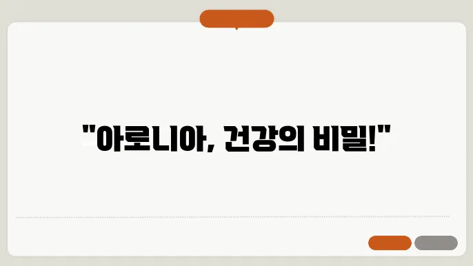 아로니아 하루 섭취량