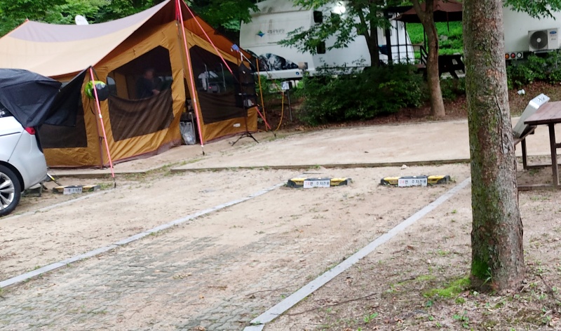 사이트 앞쪽 주차공간