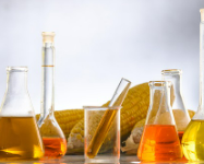 신라젠 주가 전망 | 신라젠(SJ-607) 국내 특허 등록! 주가 상승 기대?