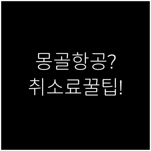 몽골항공 취소 수수료 줄이는 방법 5..