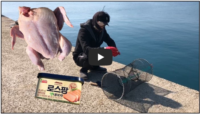 낚시 유튜버 순위 TOP 10 2