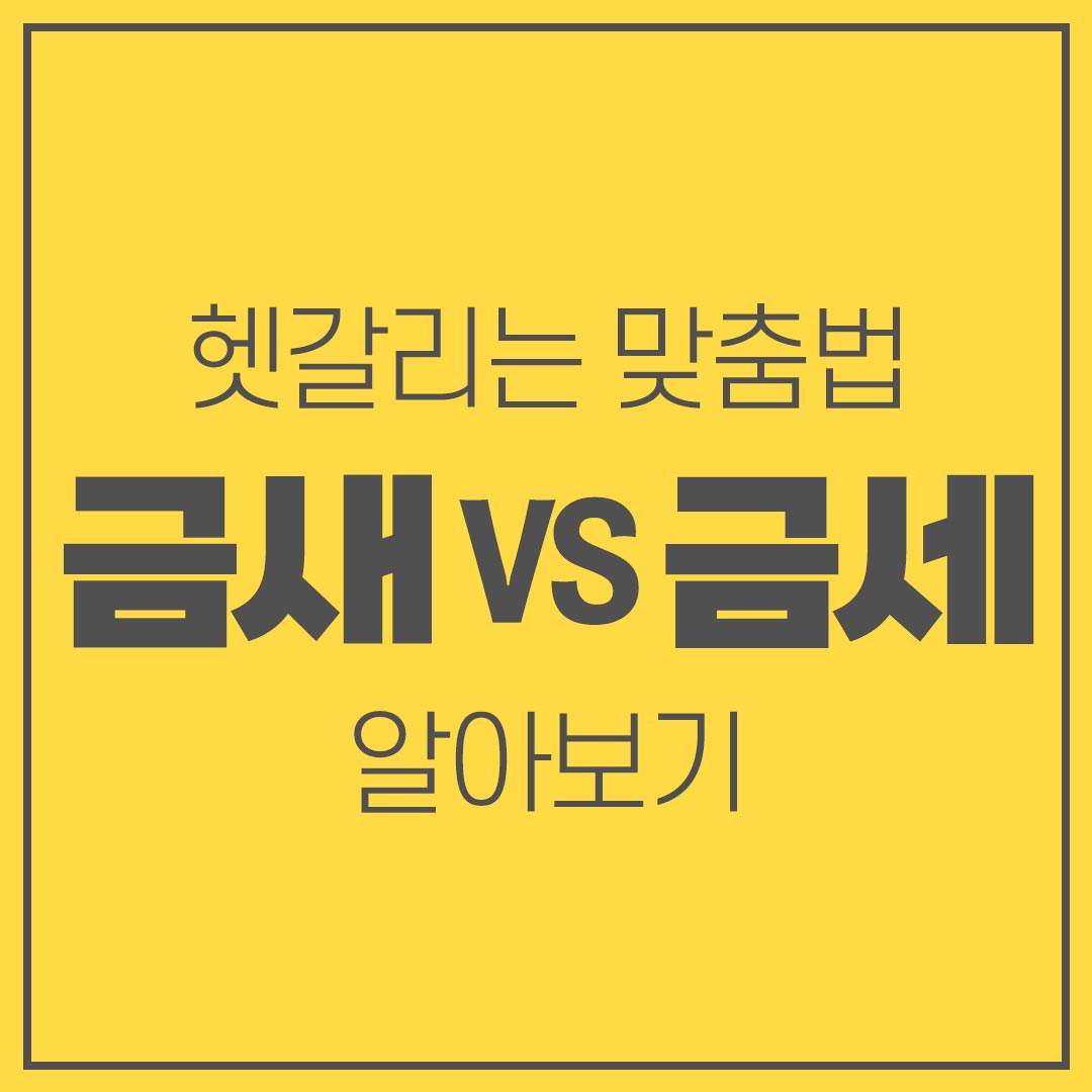 금새와 금세 헷갈리는 맞춤법 검사기