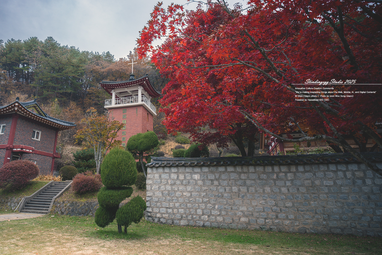 #가톨릭 #성지 #배론 #배론성지 #단풍 #가을