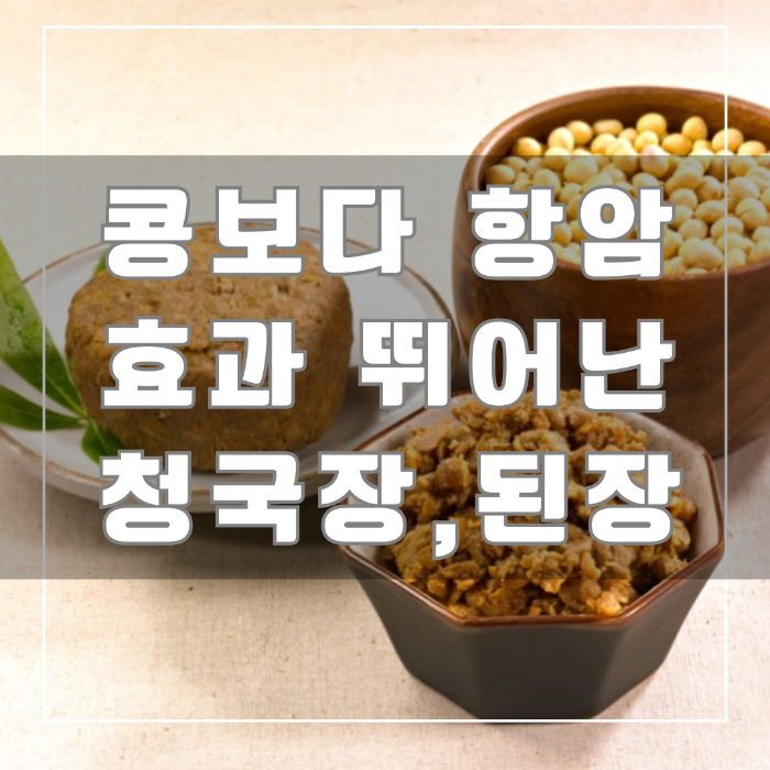 콩보다 항암효과 뛰어난 청국장 된장