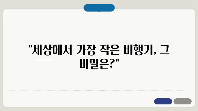 가장 작은 비행기의 주요 기술적 특징
