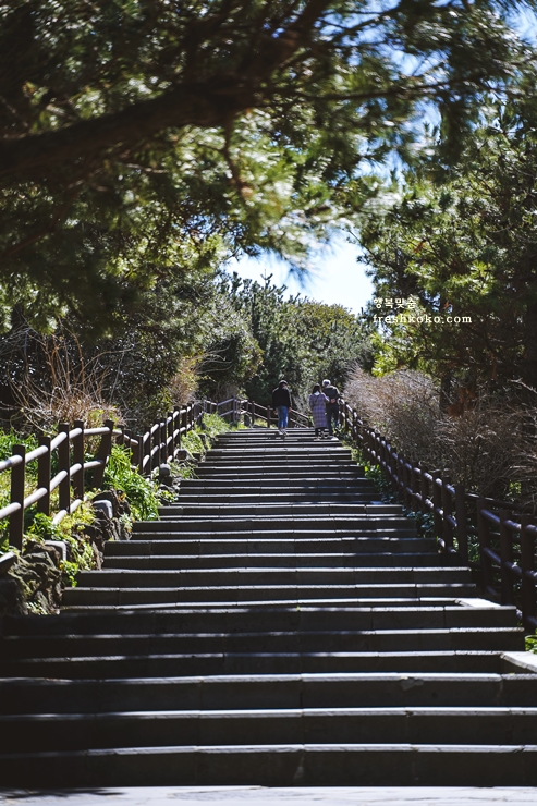 제주도 여행코스 2박 3일