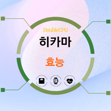 히카마 효능 탐구