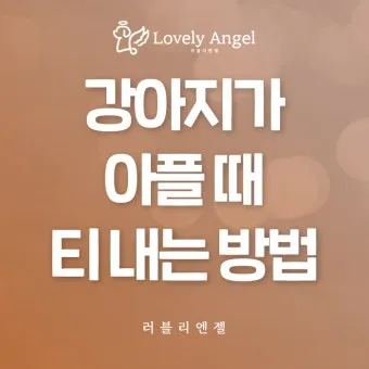 강아지 아플 때 증상 10가지 주의해야 할 건강 신호_10