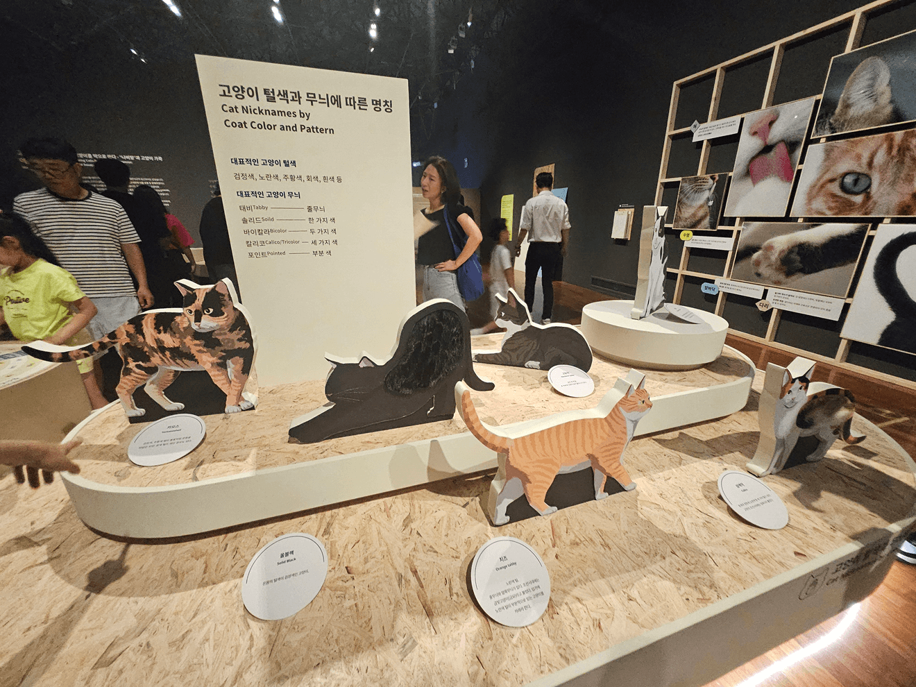 국립민속박물관, 고양이전시, 광화문전시, 종로전시, 추천전시, 어린이전시추천