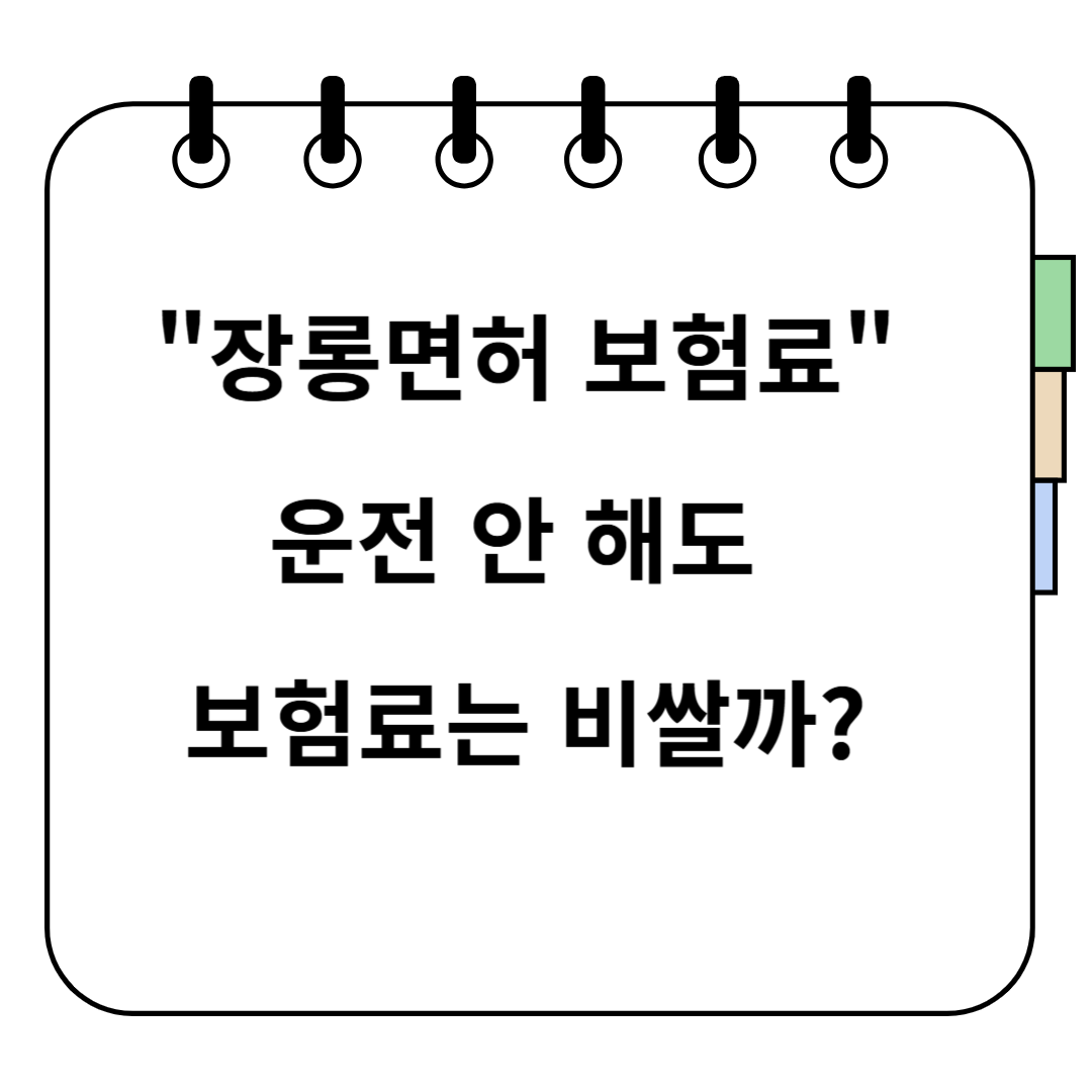 장롱면허 보험료