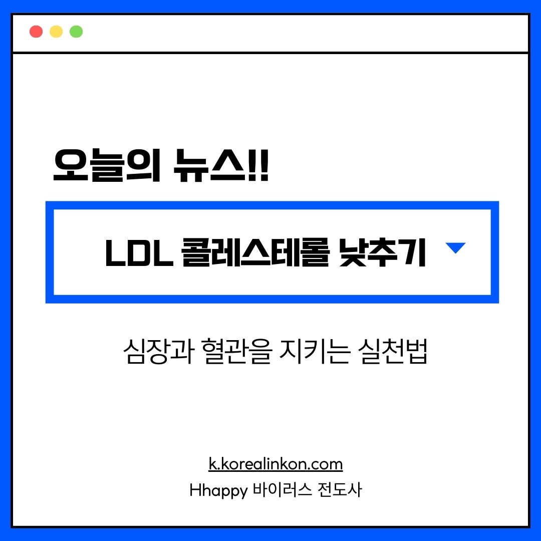 LDL 콜레스테롤 낮추기 심장과 혈관을 지키는 실천법