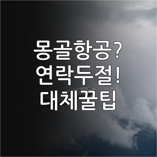 몽골항공 연락이 어려울 때 대체 채널..