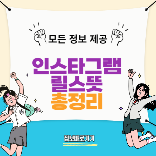 릴스뜻