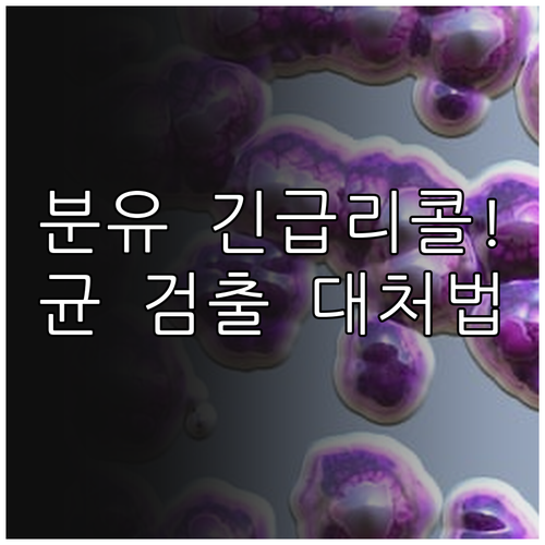 바실루스 세레우스 검출 분유 리콜 현..