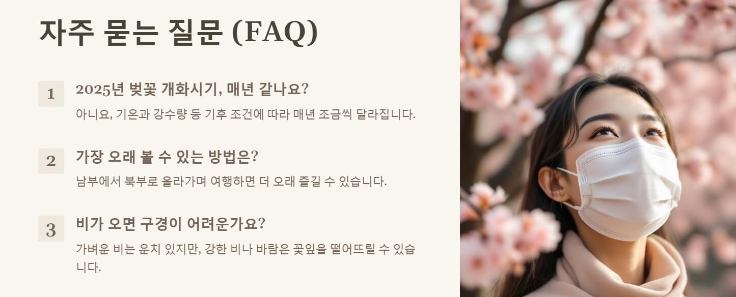 2025년 벚꽃 개화시기