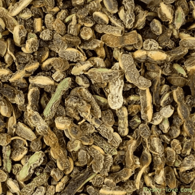 갱년기에 도움 되는 회화나무 열매