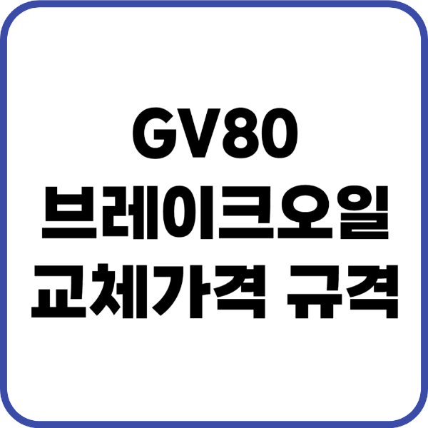 GV80 브레이크오일
