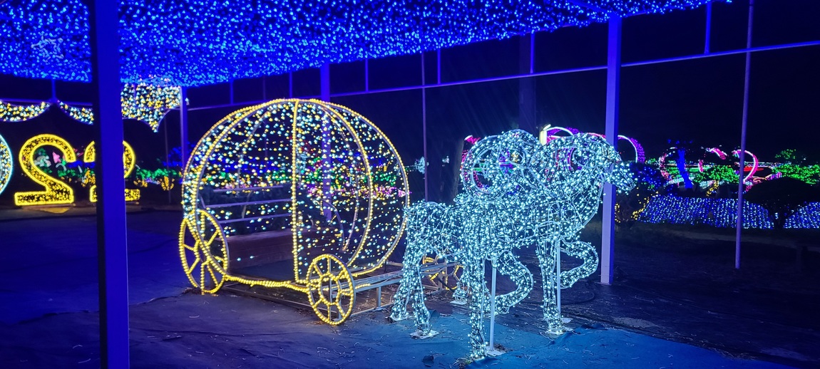 태안빛축제 &amp; 꽃박람회