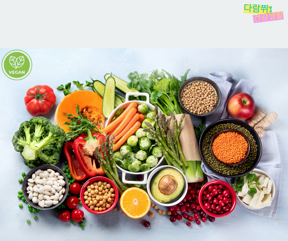 채식주의자를 위한 단백질 섭취 방법 – 비건 고단백 식단