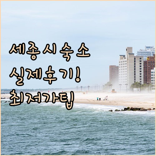 실제 투숙객이 극찬한 세종시 베스트 ..