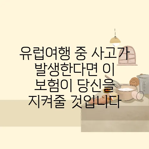 유럽여행 중 사고가 발생한다면 이 보험이 당신을 지켜줄 것입니다