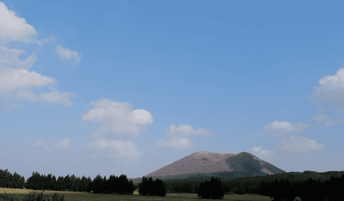 제주렌트카비교사이트_23