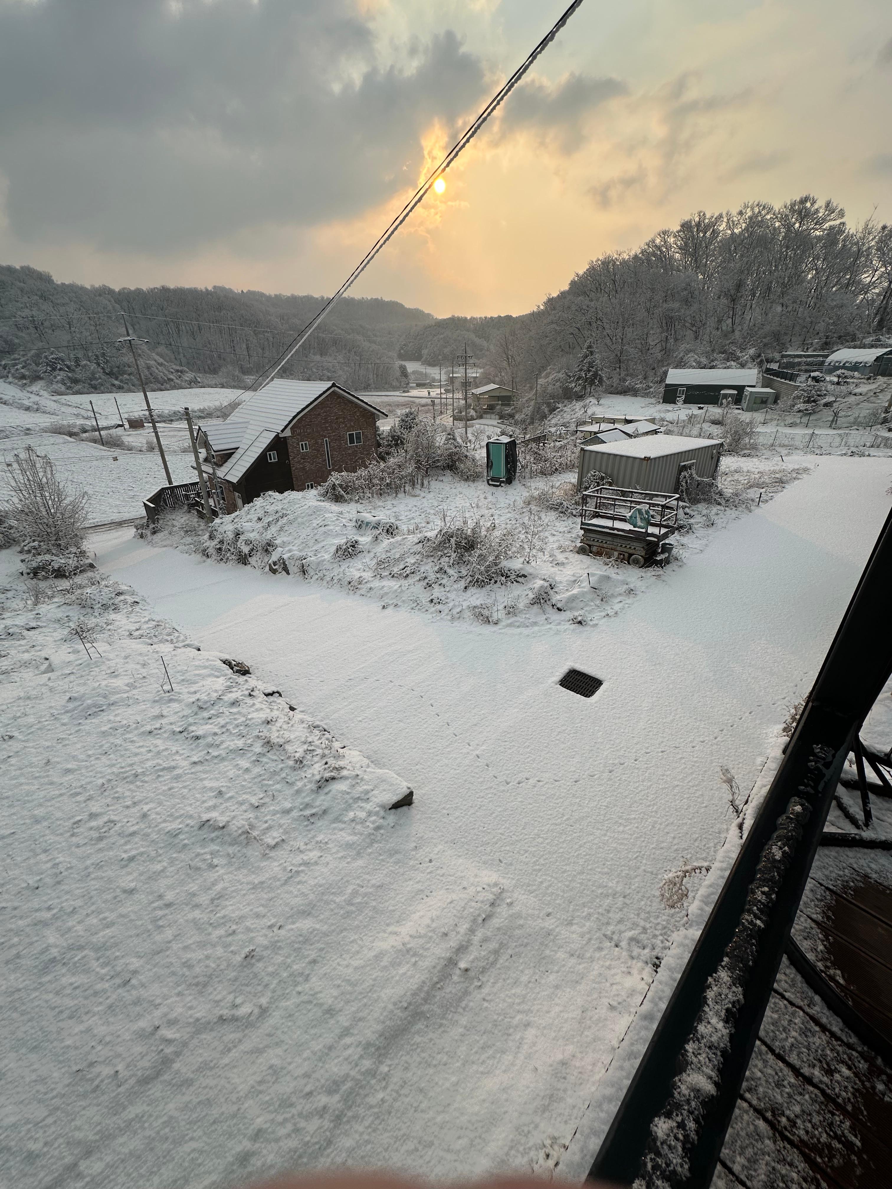 집앞을 흰 도화지로 덮은 눈