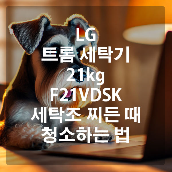 LG 트롬 세탁기 21kg F21VDSK 세탁조 찌든 때 청소하는 법