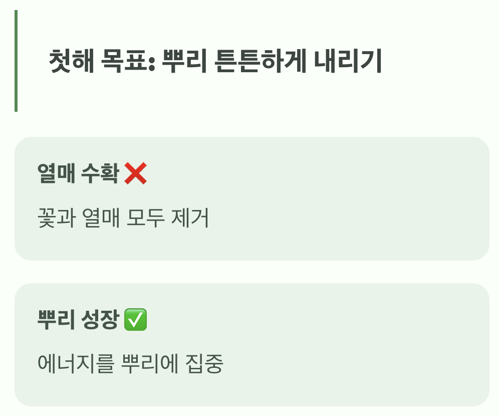 첫해의 욕심은 금물, 미래를 위한 투자