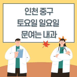 인천 중구 토요일 일요일 내과 진료 병원 리스트