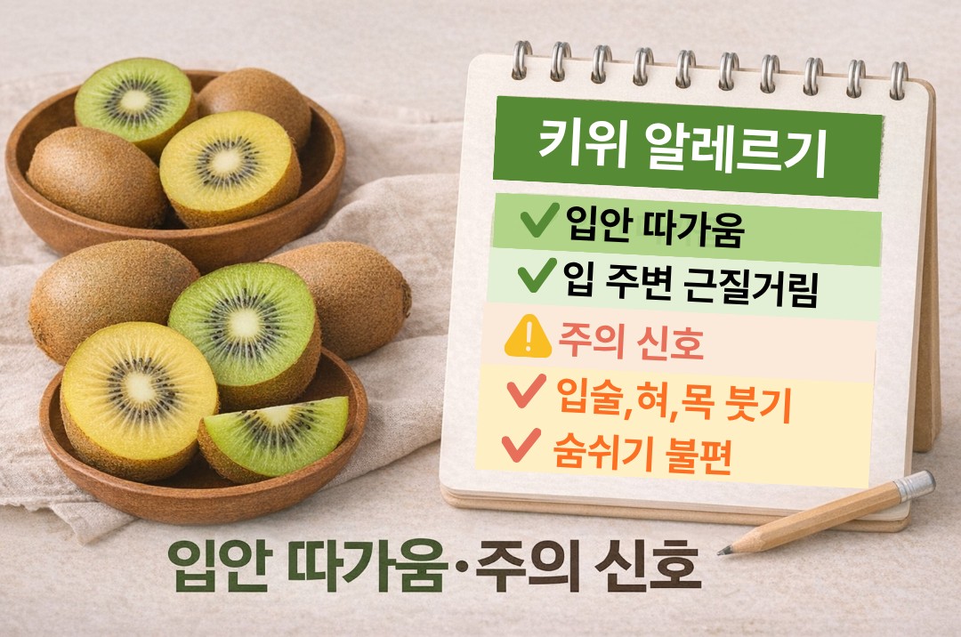 키위 알레르기 신호 체크리스트 이미지(입안 따가움과 위험 신호 구분)