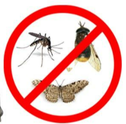 해충박멸 업체 빅3