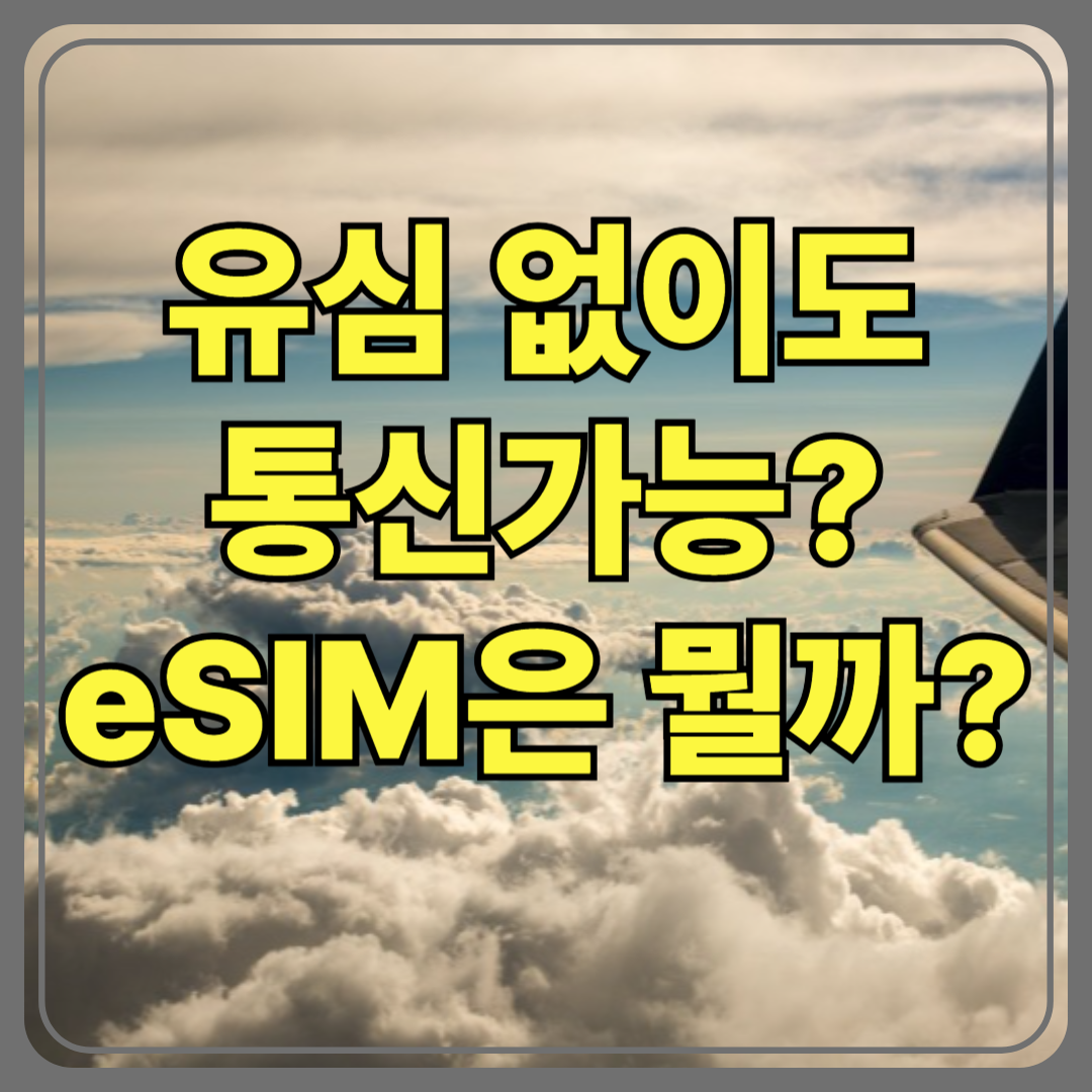 eSIM 완전 초보 가이드📖 설치 방법부터 요금제까지 한눈에!