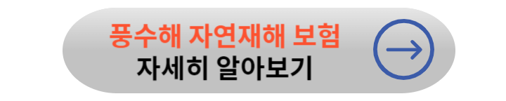 장마철 대비 필수 준비사항 체크