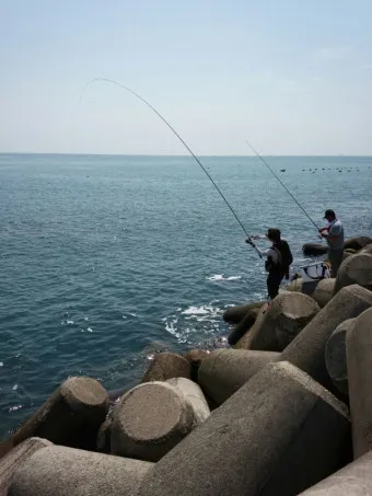 초보 바다낚시 최고 추천 명소 쉽게 낚시할 수 있는 추천 장소 5곳_14