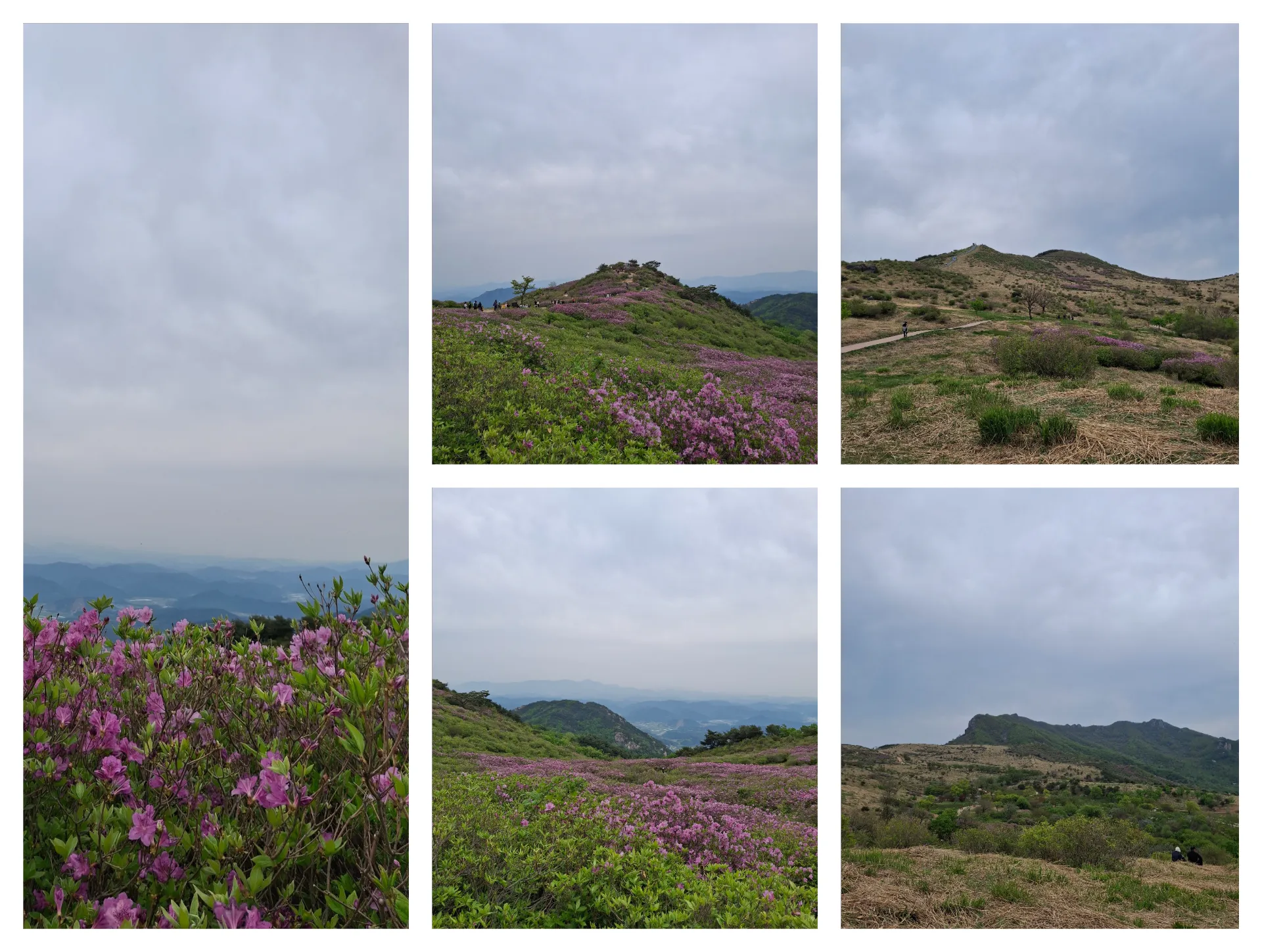 봄 황매산