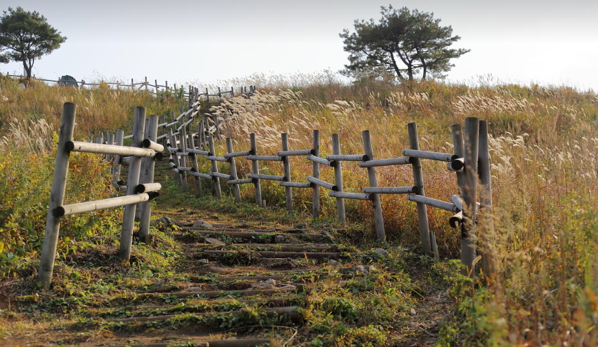 10월 축제 추천: 서울억새 이천쌀문화 진주남강유등축제