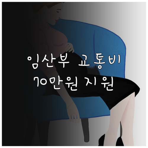 2025년 서울시 임산부 교통비 지원..