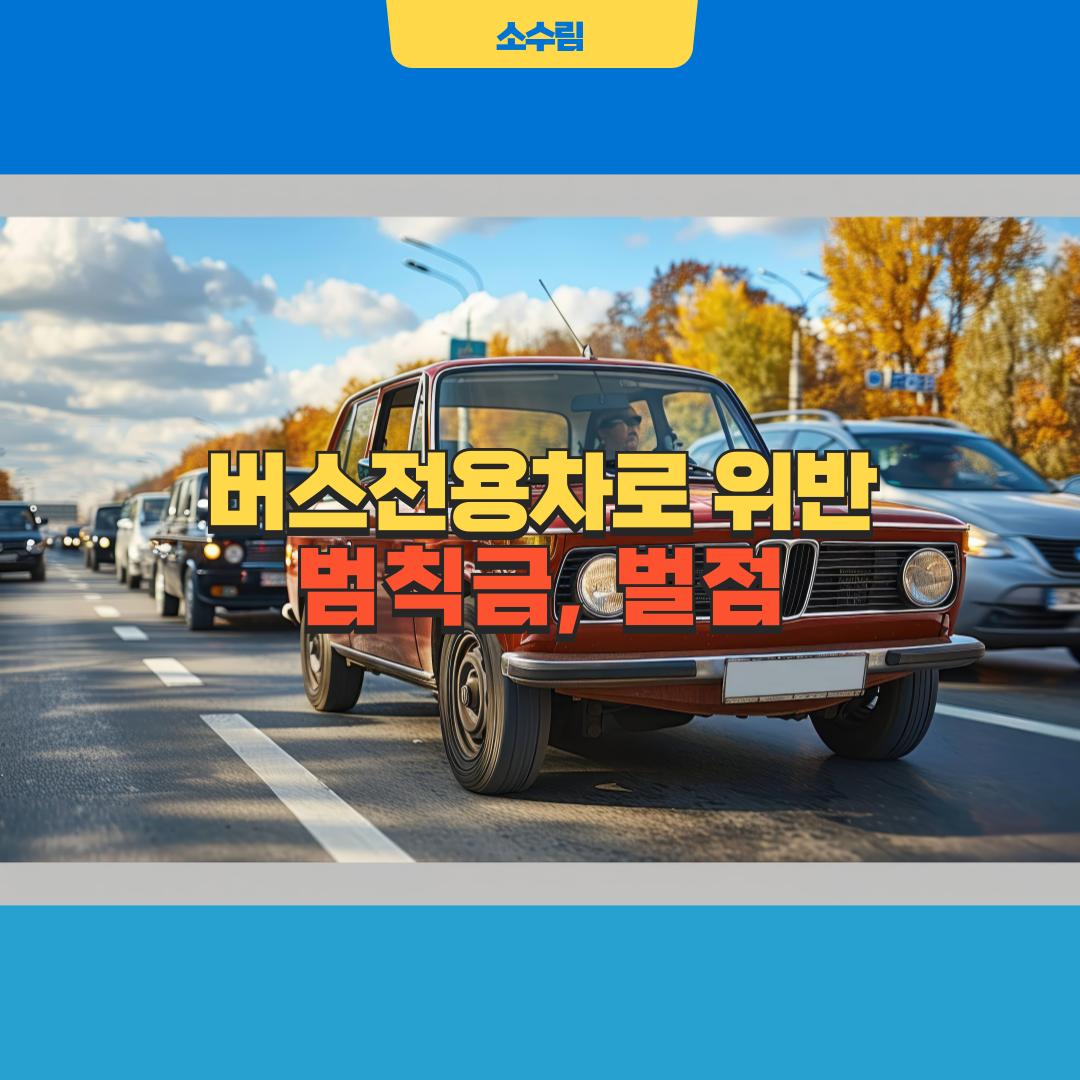 버스전용차고 위반 범칙금 벌점