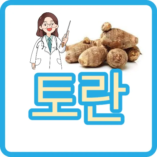 토란대 토란 효능 토란 손질법 토란국 칼로리