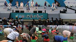 제19회 철원 화강 다슬기 축제 기본일정과 특징 소개 초아(AOA) 하현우(국카스텐) 하이키 김수찬 정수연 미란이 블라쎄 노브레인