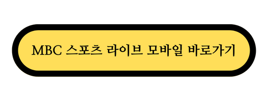 축구 중계 채널