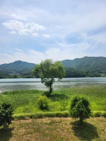 양평 가볼만한곳 베스트10 두물머리 연잎핫도그_12