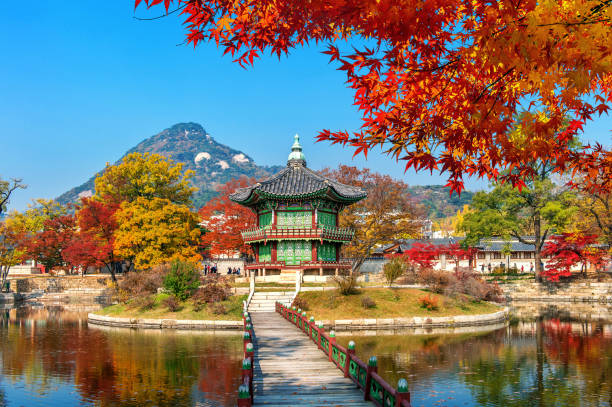 화담숲 예약 완벽 가이드