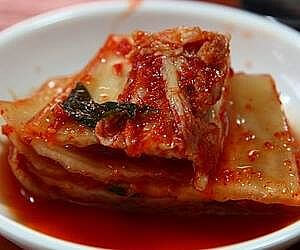 김치에서 분리해 낸 비염 유산균