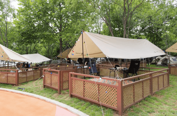 마포구 반려동물 캠핑장