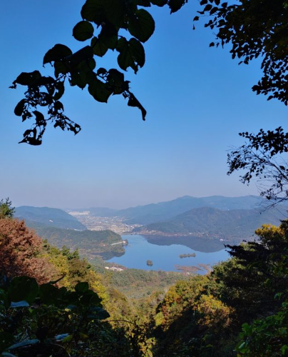 2025 내장산 단풍 절정시기 &amp; 난이도별 등산코스 TOP 5 완벽 정리