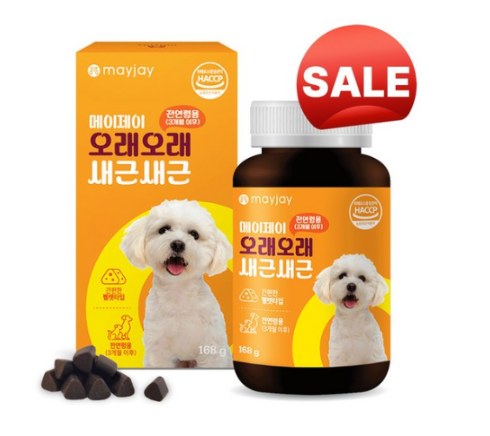 전국 강아지 보호소 정보와 입양 절차 총정리