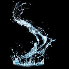 간헐적 단식 물